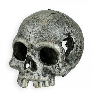Ng 51 skull