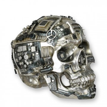 Sp 78 skull resina